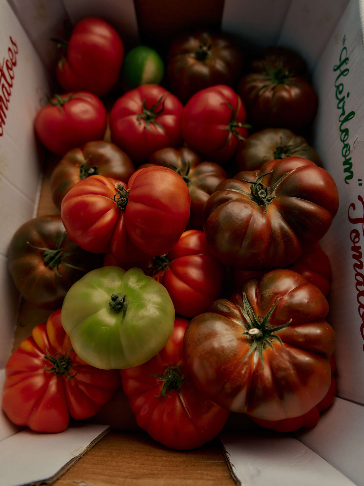 A collection of heirloom tomatoes, showcasing various shapes and colors.