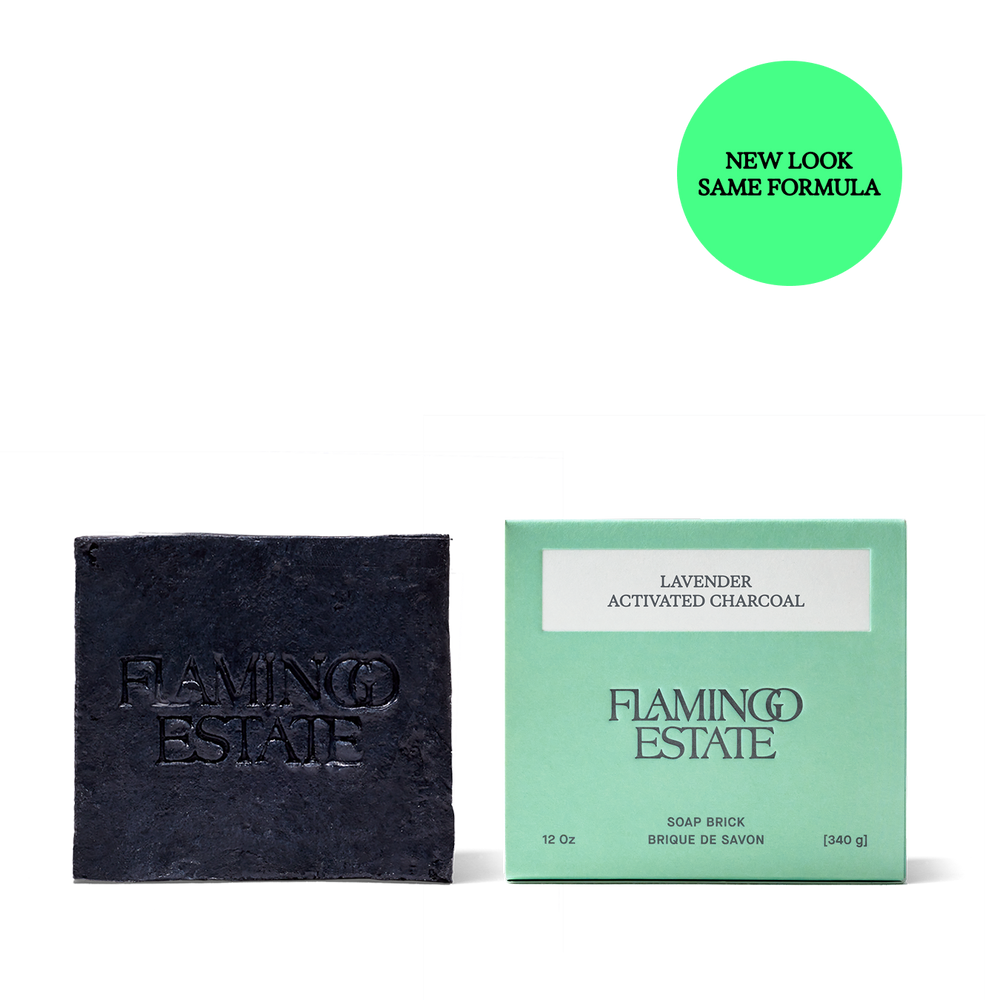 Lavender Activated Charcoal Soap Brick