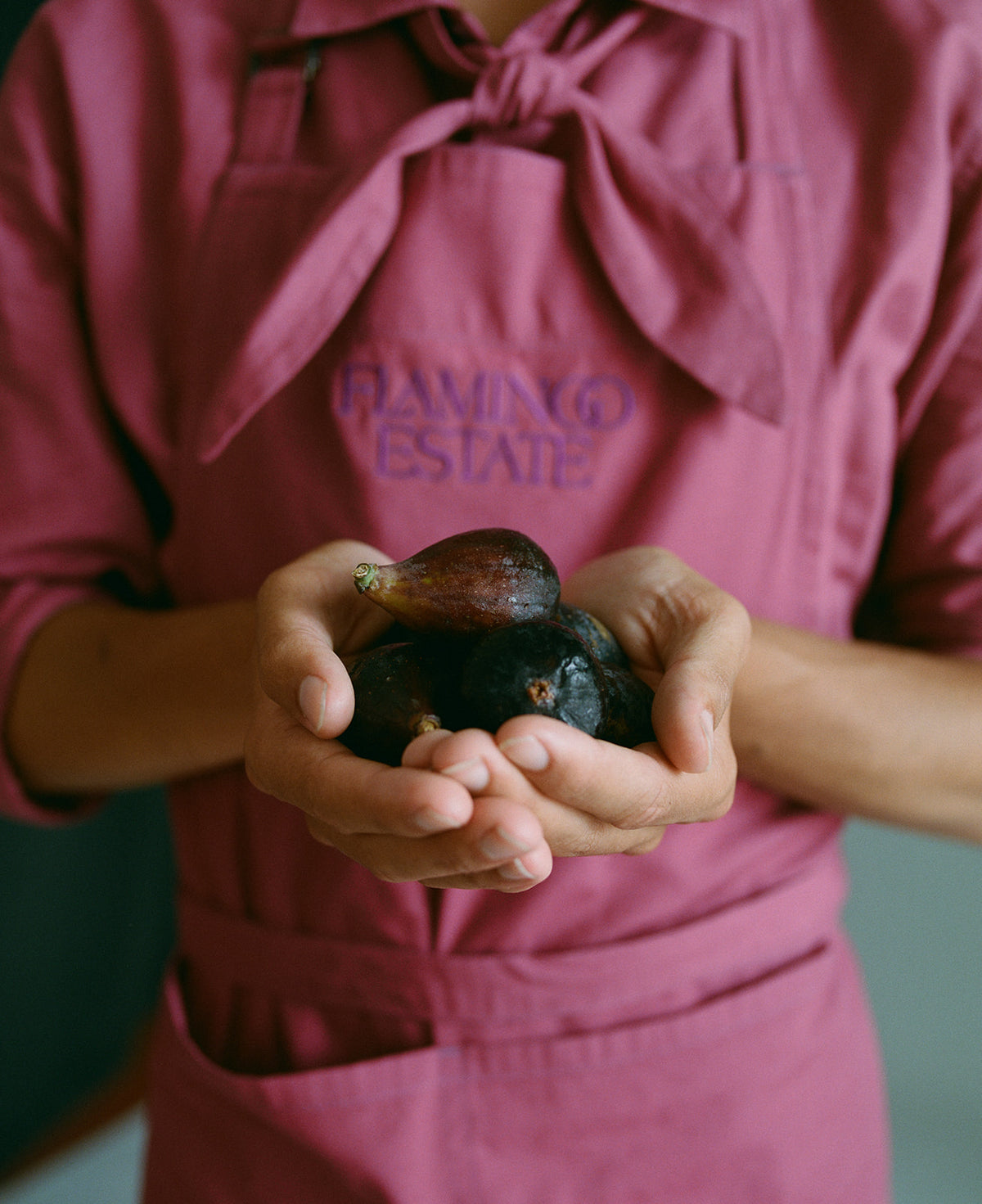 Noir Fig Balsamic Vinegar