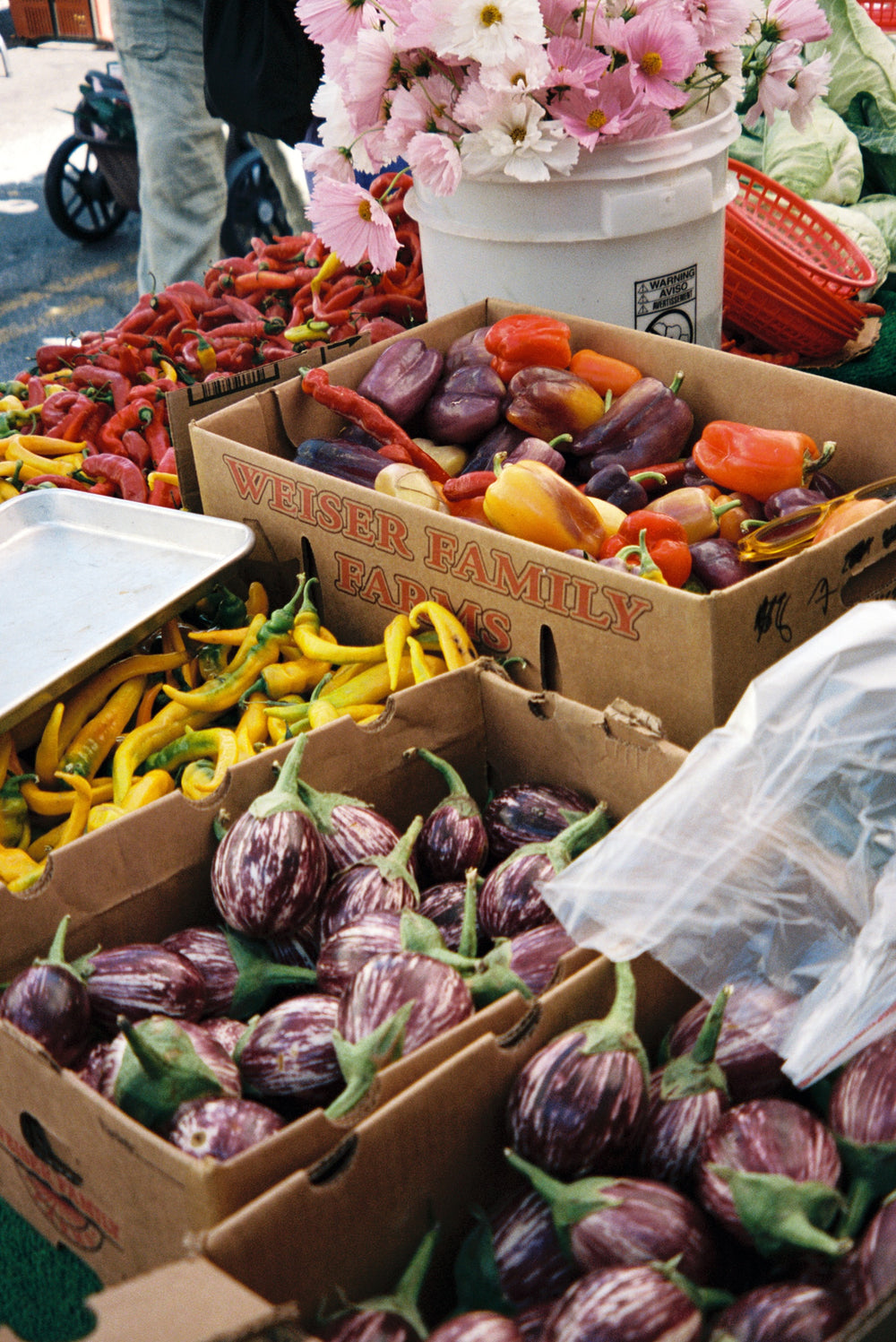 The Regenerative Farm Box