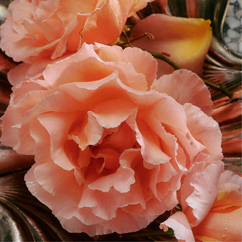 Jasmine Damask Rose Glass Hand Soap