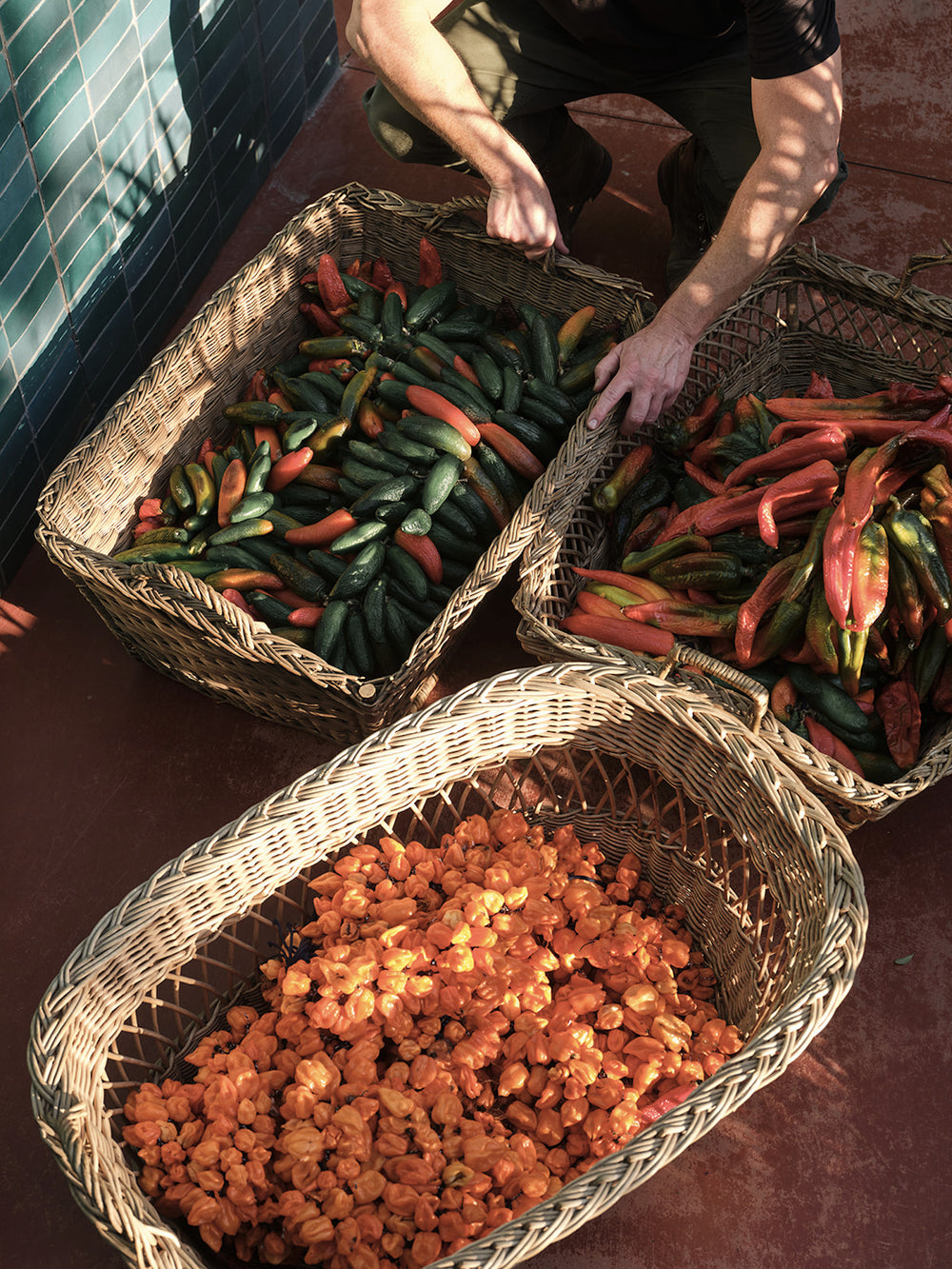 Spicy Finishing Set
