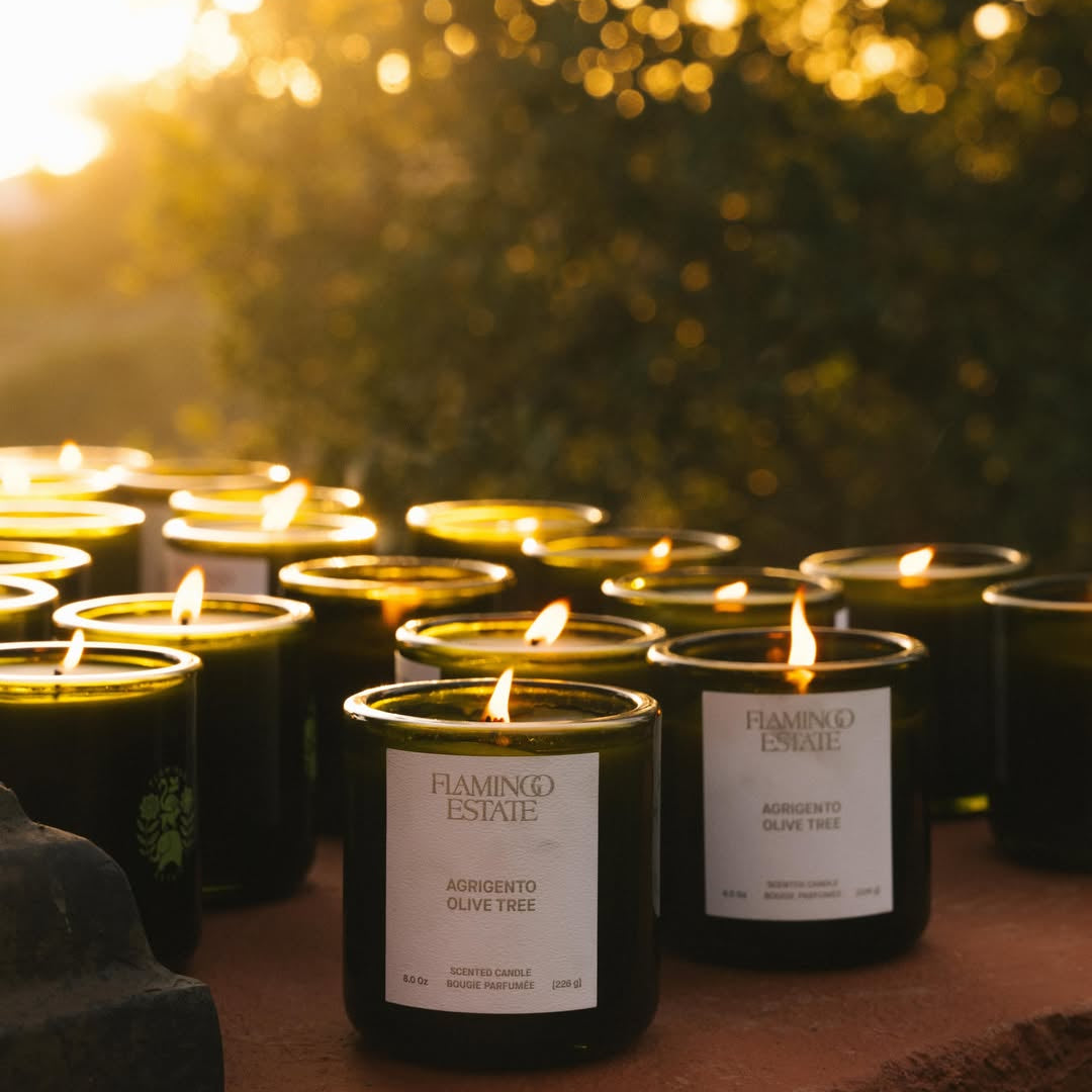 Ancient Agrigento Olive Tree Candle