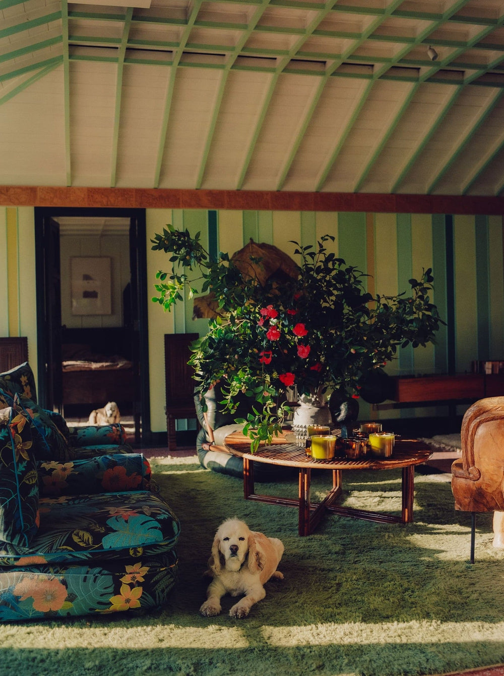 A dog lies on a green carpet in a colorful, vintage-themed living room.