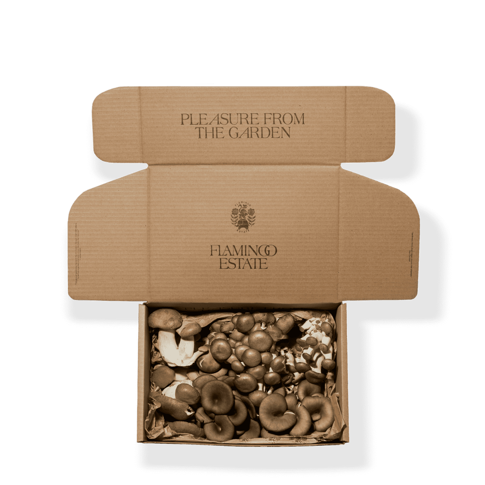 Open Flamingo Estate Box Containing Organic Artisanal Mushrooms