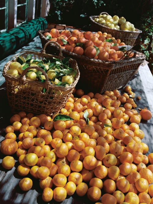 Glacéed Oranges