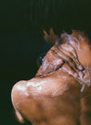 Man Lathering Up Back With Soap