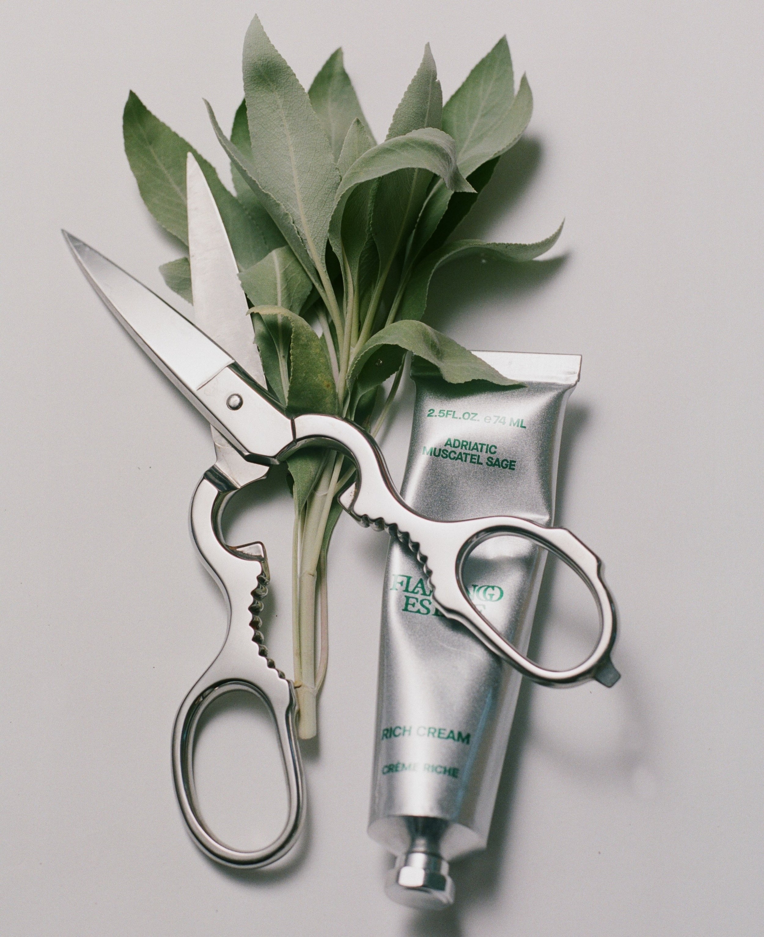 Sage Rich Cream for Hands & Feet - Flamingo Estate