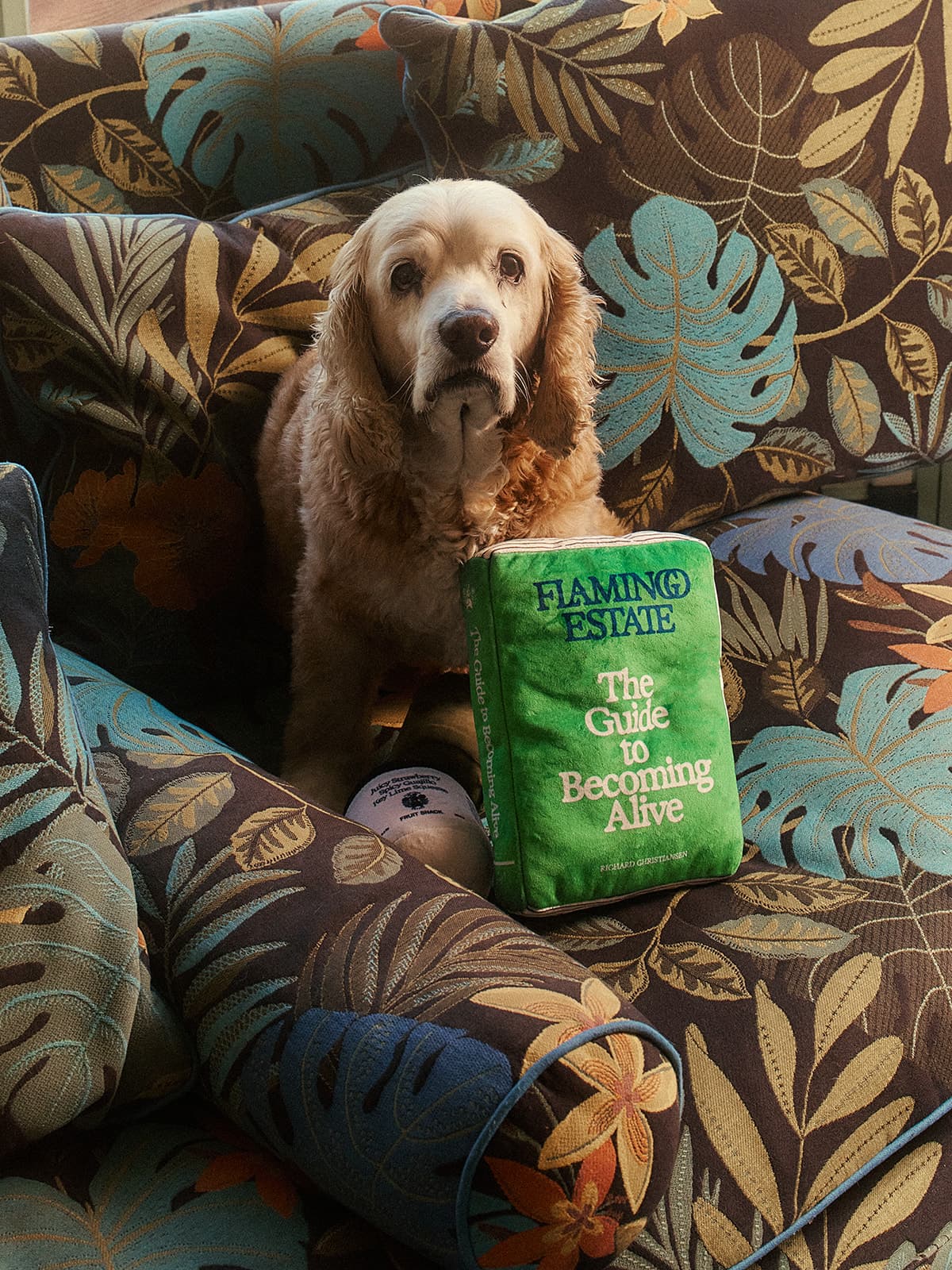 The Guide To Becoming Alive Dog Toy - Flamingo Estate