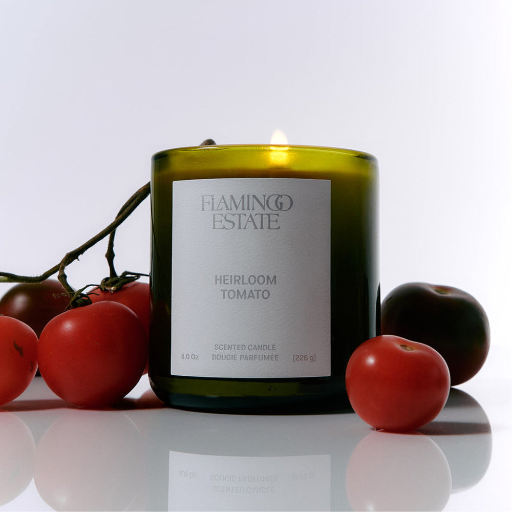 Roma Heirloom Tomato Candle – Green & Peppery Scent | Flamingo – Flamingo Estate