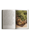 Open book featuring text on the left page and a garden scene on the right.