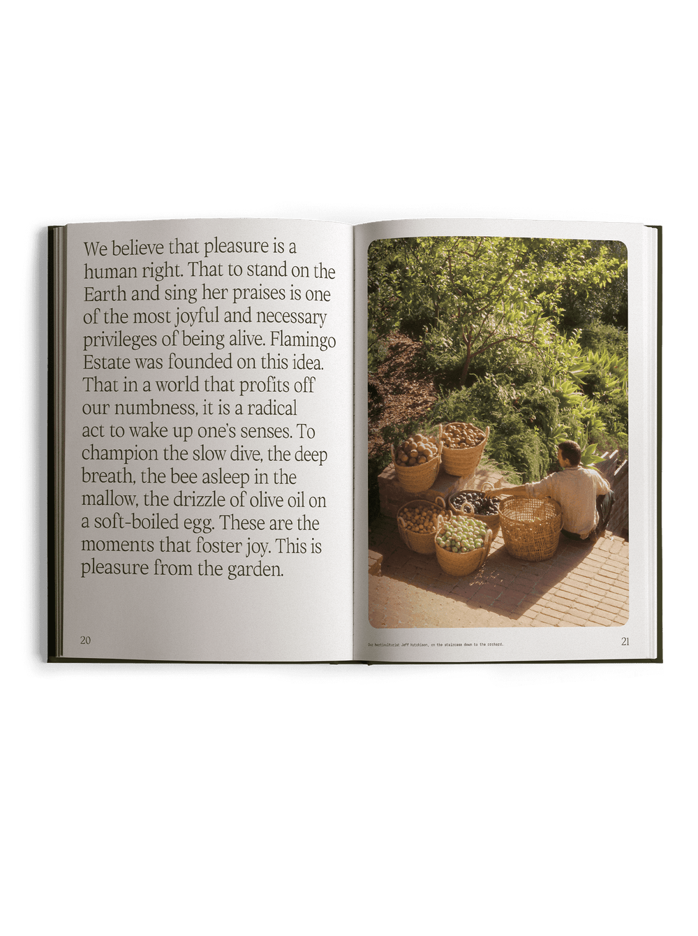 Open book featuring text on the left page and a garden scene on the right.
