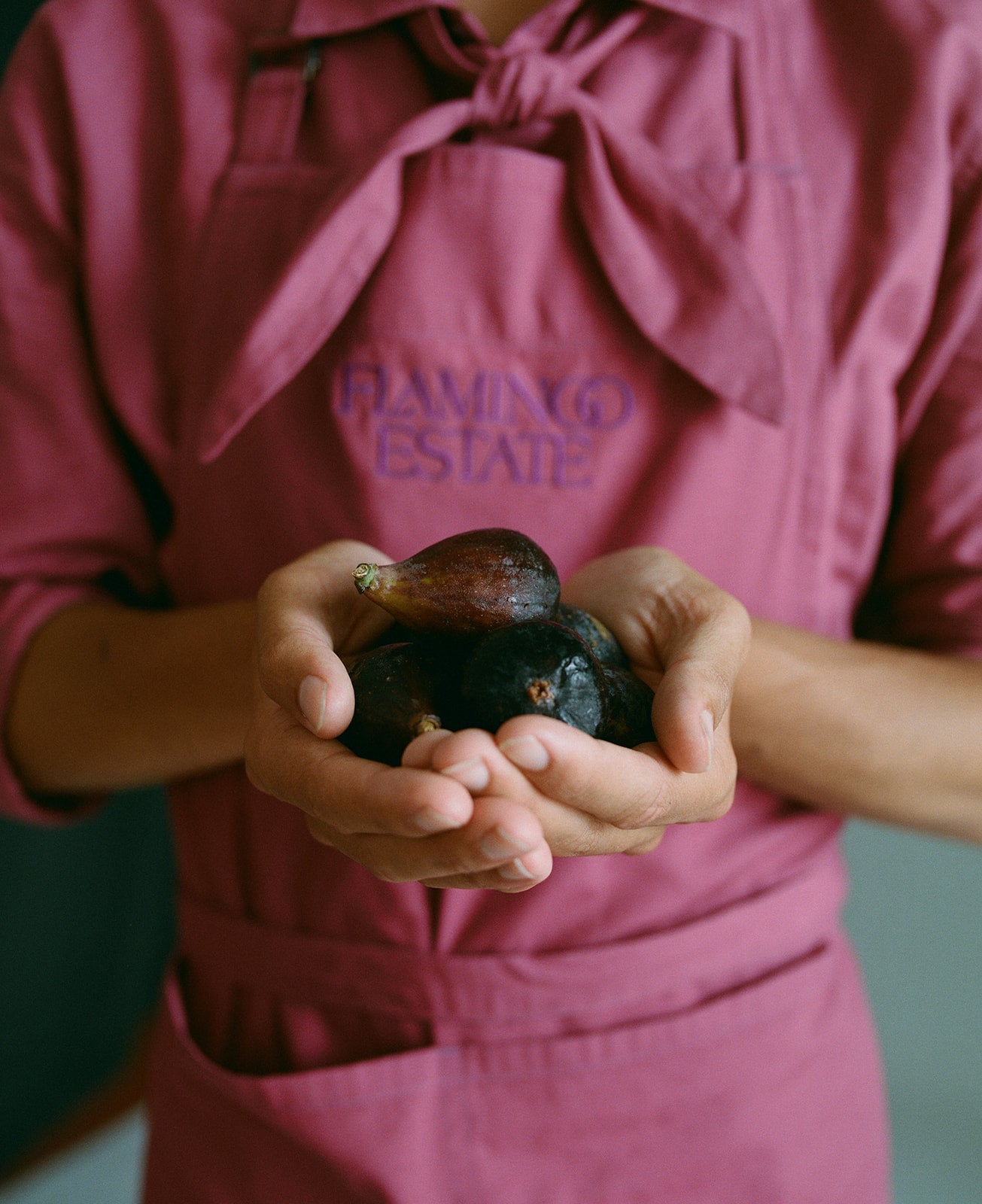 Noir Fig Balsamic Vinegar - Flamingo Estate