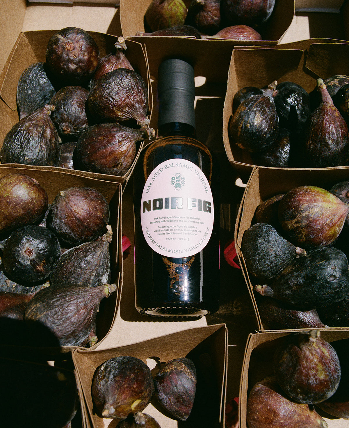 Noir Fig Balsamic Vinegar - Flamingo Estate
