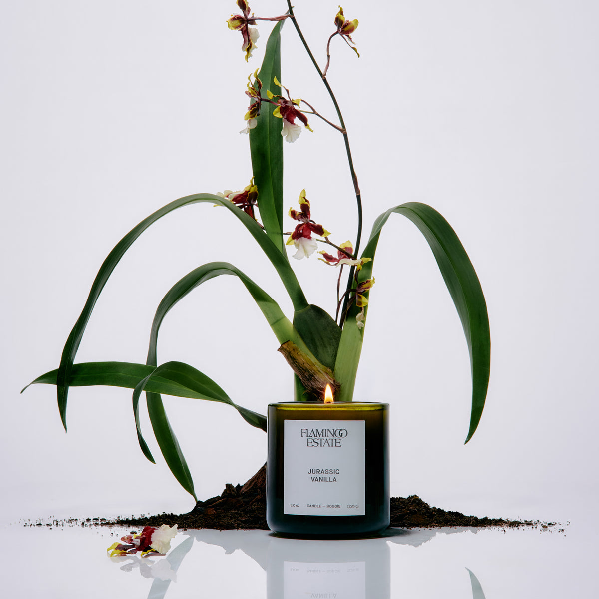 Jurassic Vanilla Candle - Flamingo Estate