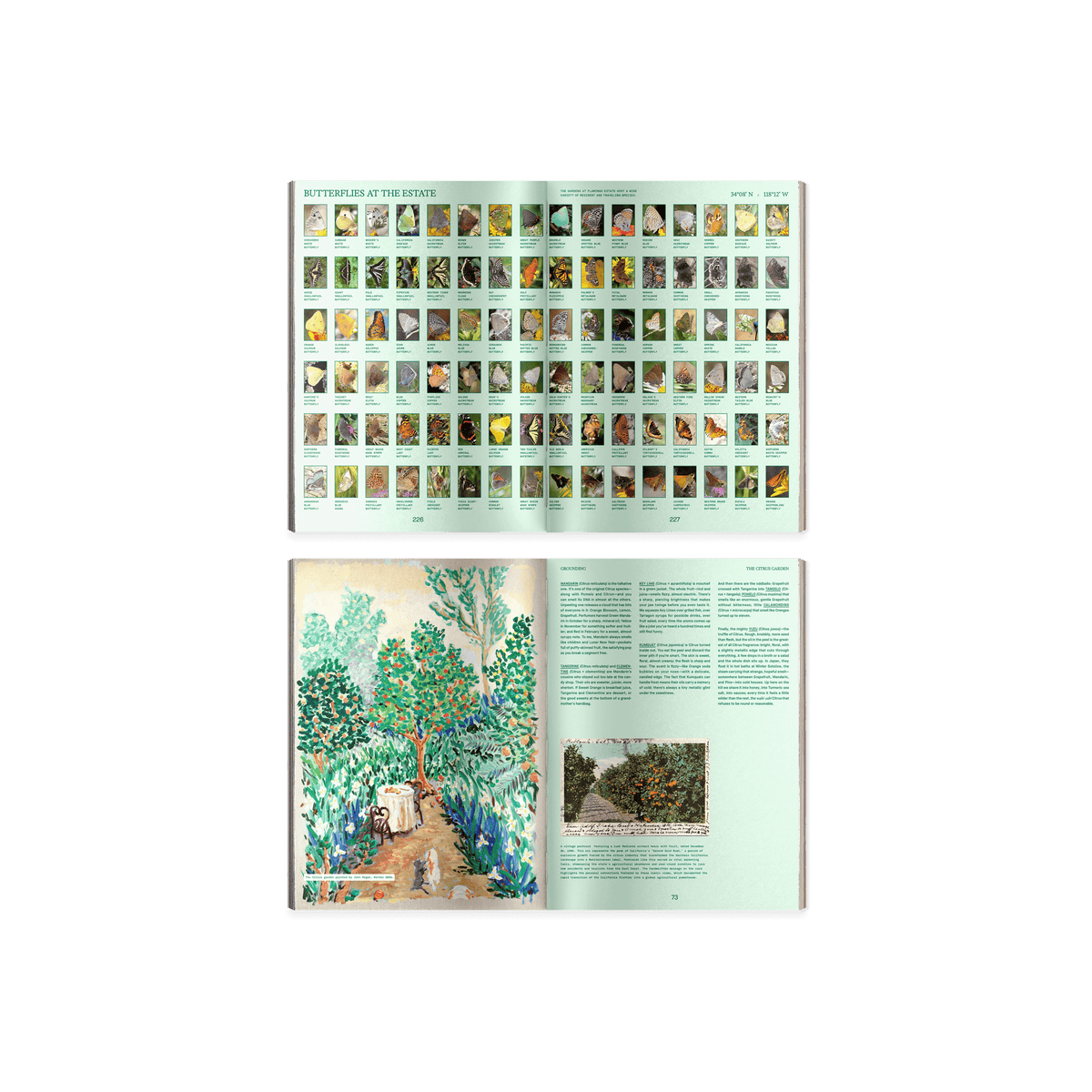Pleasure Principles: An Almanac from the Garden