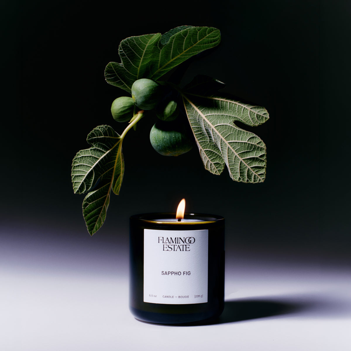 Sappho Fig Duo - Flamingo Estate