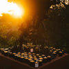 Ancient Agrigento Olive Tree Candle