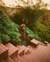 A person is walking through lush greenery down a path in a garden.