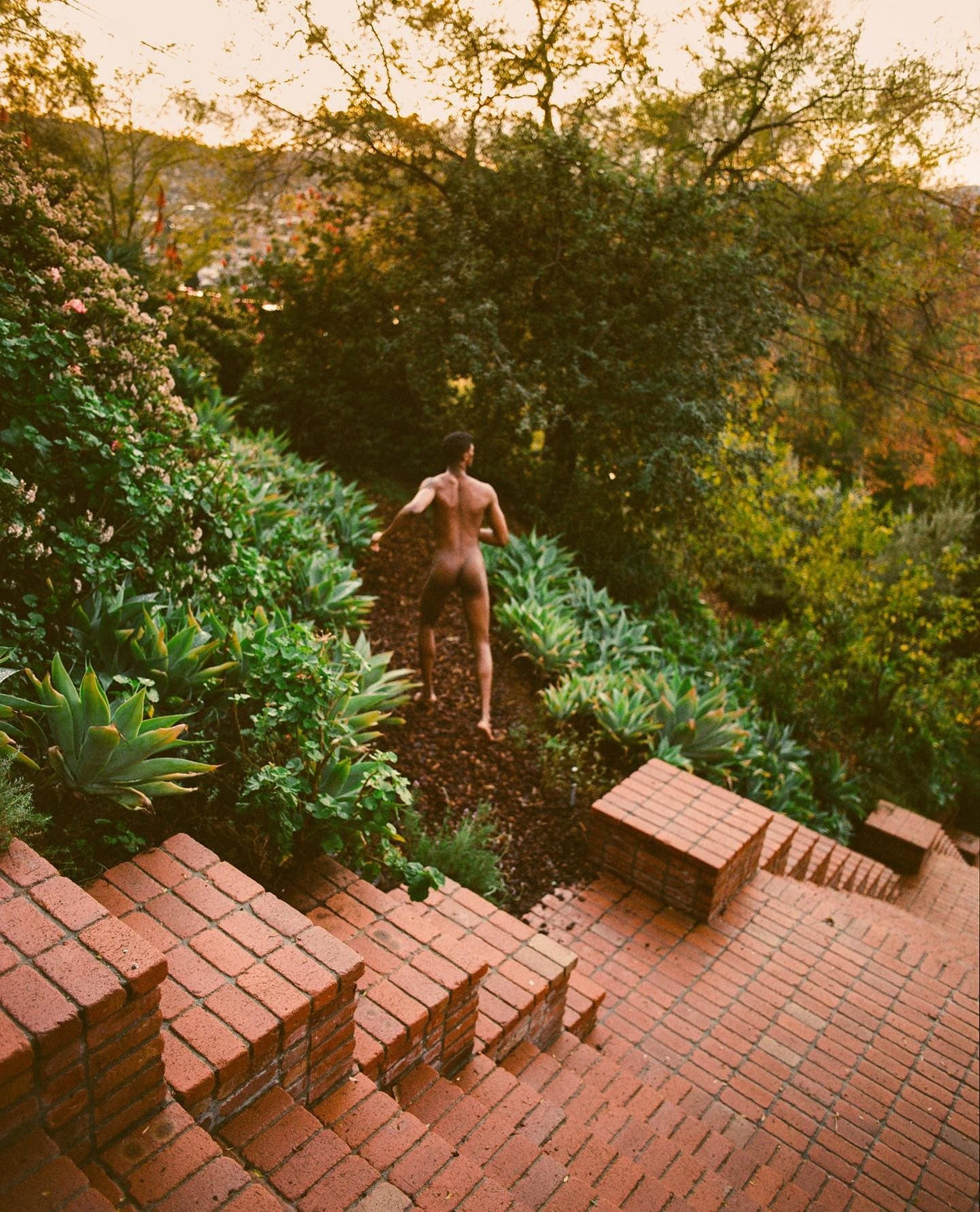 Petrichor Duo - Flamingo Estate