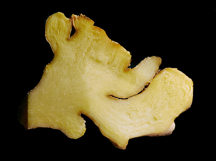 Ginger