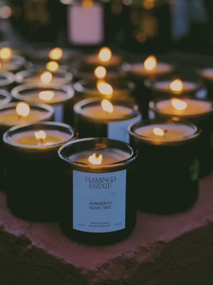 Ancient Agrigento Olive Tree Candle - Flamingo Estate
