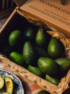 A cardboard box contains several whole avocados resting on crinkled paper.