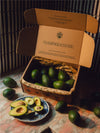 A cardboard box labeled 