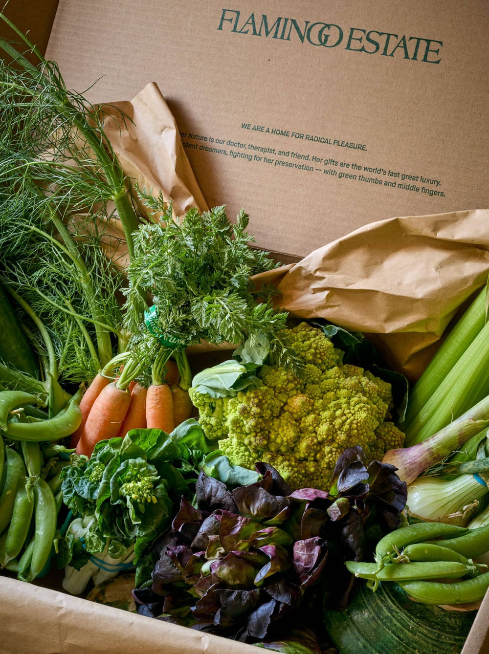 A cardboard box holds assorted fresh vegetables.
