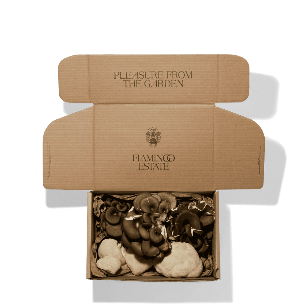 A cardboard box is open, revealing various mushrooms inside.